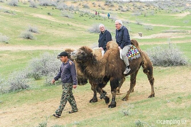 2 Days of Tour in Yurt Camp and Aydarkul - Who Will Enjoy This Two-Day Trip