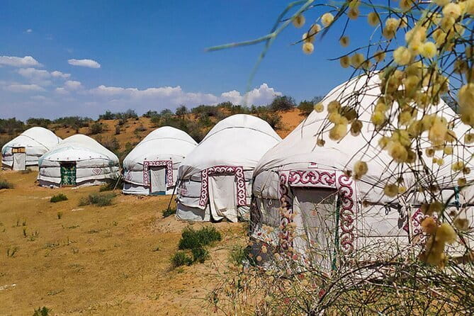 2 Days Private Safari Tour from Bukhara - Aydarkul Lake and the picnic stop