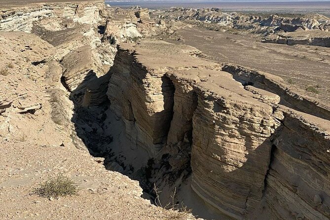 2 Days Private Tour To Aral Sea from Nukus. - Key points to know before booking