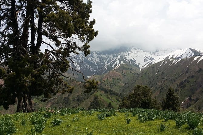 3-Day Chimgan Trekking Tour - From Tashkent to the Chimgan mountains