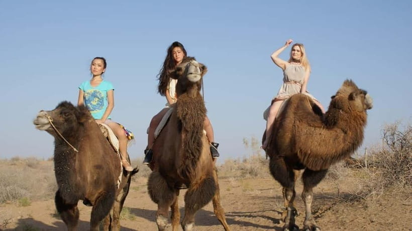 Adventure to Desert Kyzyl Kum and Yurt Camp - Key points before you book