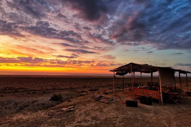Aral Sea Adventures (2 day) - Nukus and the remarkable Savitsky Museum