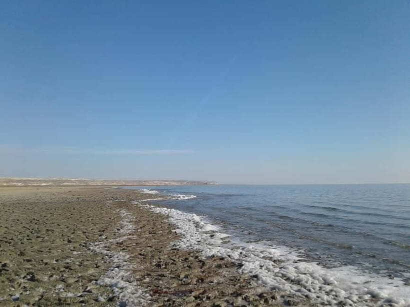 Aral Sea One Day Trip from Nukus. - The vehicle, driver, and communication