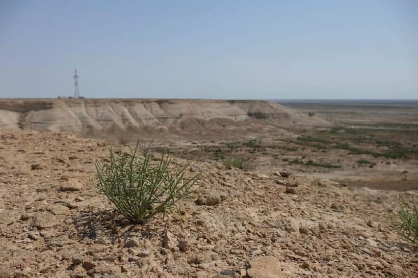 Aral Sea Tour from Nukus 1 night / 2 days - What kind of guide service to expect