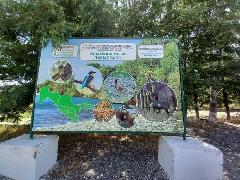 Bird Watching Tours in Samarkand - What this Samarkand birding day is really like