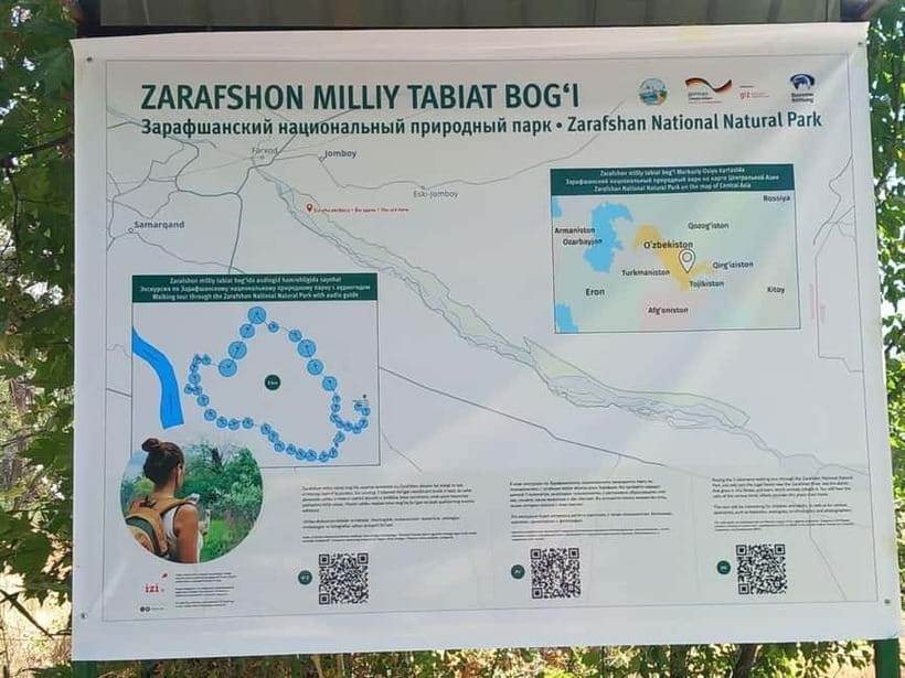 Bird Watching Tours in Samarkand - Zeravshan Reserve and its river woodland