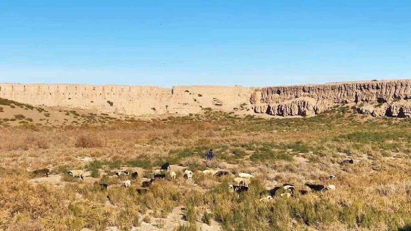 Daytrip from Khiva to Five Ancient Fortresses - What the seven-hour schedule really feels like