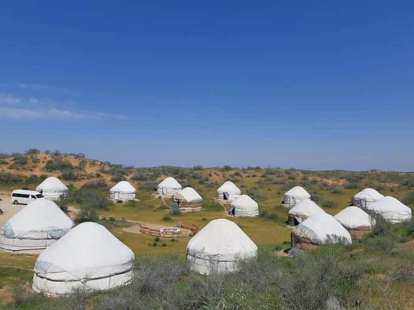 Desert Adventure from Samarkand: Yurt Camp & Aydarkul Escape - Camel riding and the desert camp