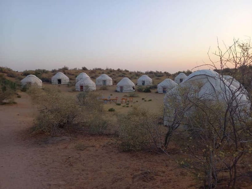 Desert Adventure from Samarkand: Yurt Camp & Aydarkul Escape - What the $200 price delivers