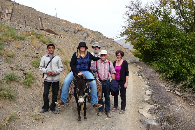 Desert yurt camp and Mountain tour - 3 days - Day 3: A four-hour transfer to Samarkand