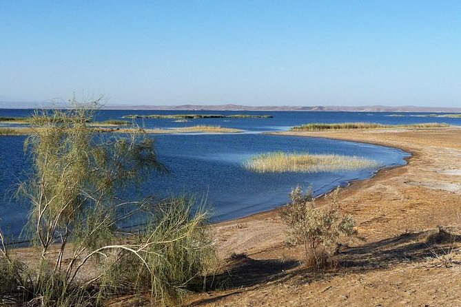 Desert Yurt Camp tour - 2 days (shared) - From Bukhara or Samarkand into the Kyzylkum Desert