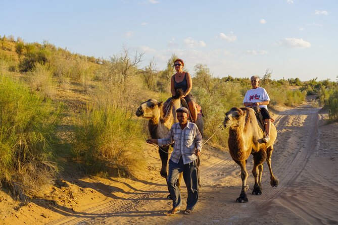 Desert Yurt Camp tour - 2 days (shared) - Arriving at the yurt camp