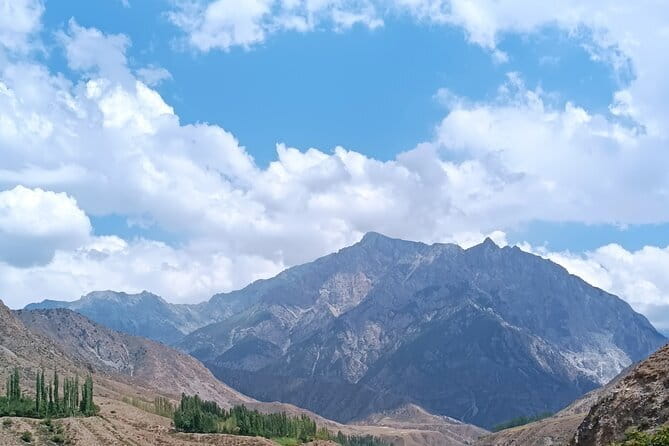 Fergana Valley 2-Day Private Tour - Jami Mosque and its 98 columns