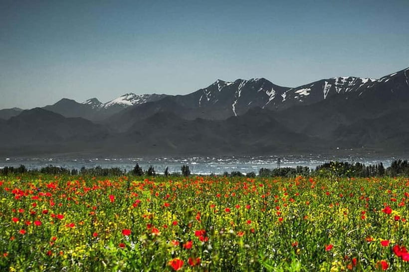 From Samarkand: Shahrisabz Day Trip & Mountain Pass Tour - Lunch, local food, and the best part of the road