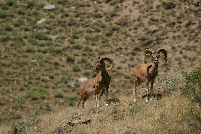 Hiking tour to Hayat, Uhum and Asraf villages – 4 days - What the $380 price really covers