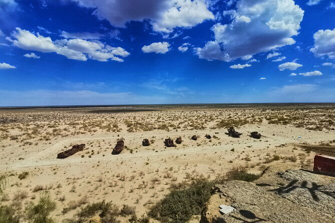 Private Daytrip to Muynak and Nukus - The ship cemetery, where the sea used to be