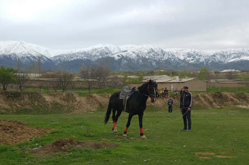 Samarkand: Uloq-Kopkari (Buzkashi) Game Day Tour - What Uloq-Kopkari looks like from the field edge