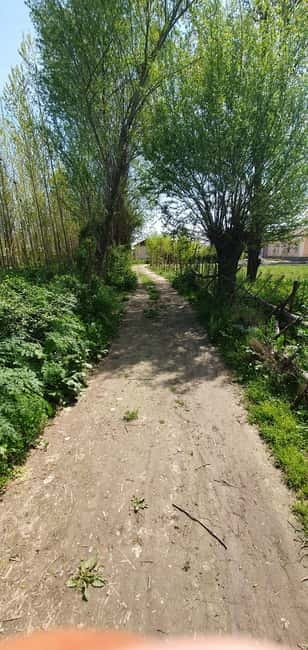 Samarkand: Village Tour with Plov Cooking Class & Home Visit - Cooking plov the old-fashioned way