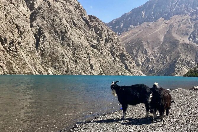 Seven Lakes Panjakent: One-Day Adventure from Samarkand - What each lake adds to the day