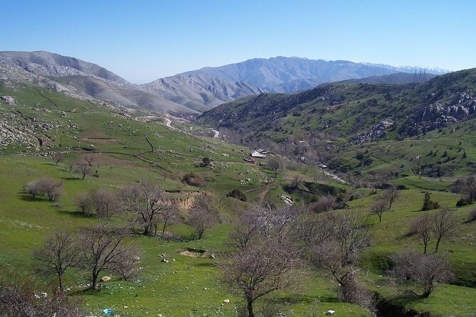 Shahrisabz Private Excursion From Samarkand. - What the $75 price really covers