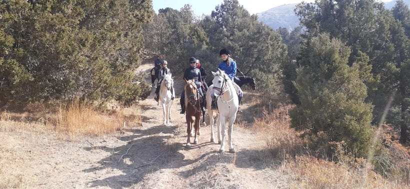 Tashkent: 3-Day Horseback Riding Tour in Chimgan Mountains - What $430 buys you in the Chimgan Mountains