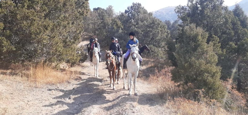 Tashkent: 3-Day Horseback Riding Tour in Chimgan Mountains - Day 2: Chet Kumbel Pass and Beldersai Valley