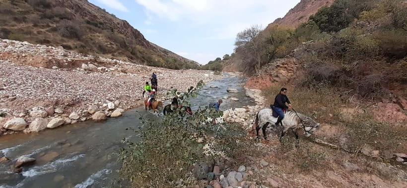 Tashkent: 3-Day Horseback Riding Tour in Chimgan Mountains - Who should book this three-day ride?