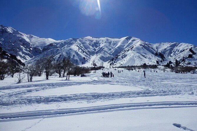 Tashkent Mountain Tour Amirsoy with Transport - The guide, driver, and private-tour question