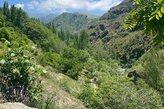 Tashkent Tour at Amirsoy, Chimgan Mountains and Charvak lake - Your guide can shape the whole experience