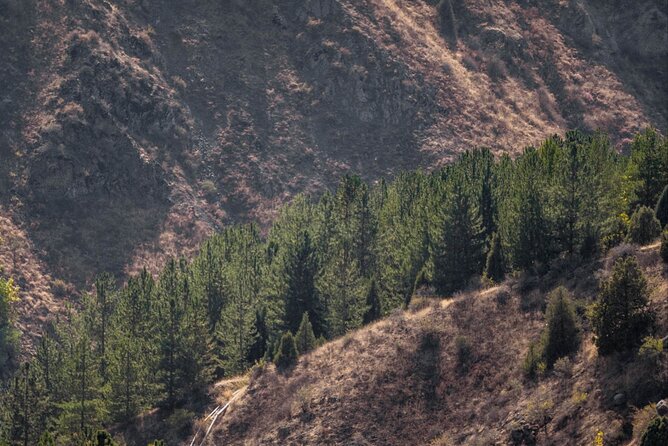 Tashkent Tour at Amirsoy, Chimgan Mountains and Charvak lake - Weather can change the day