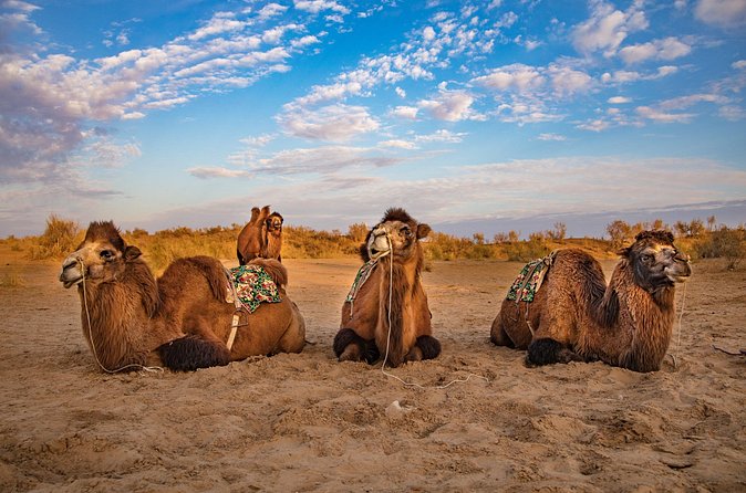 Transfer from Khiva to Bukhara by Fortresses - Ayaz Kala, the longest and most dramatic stop