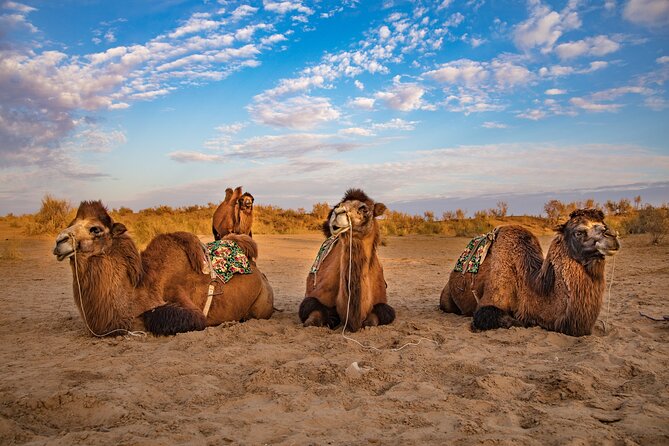 Transfer from Khiva to Bukhara by Fortresses - Toprak Kala, the former capital of Khorezm