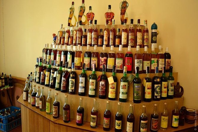Wine Tasting Tour in Samarkand - How much explanation should you expect?